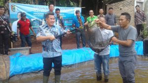 IMG-20181108-WA0079