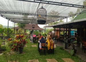 IMG-20210220-WA0040